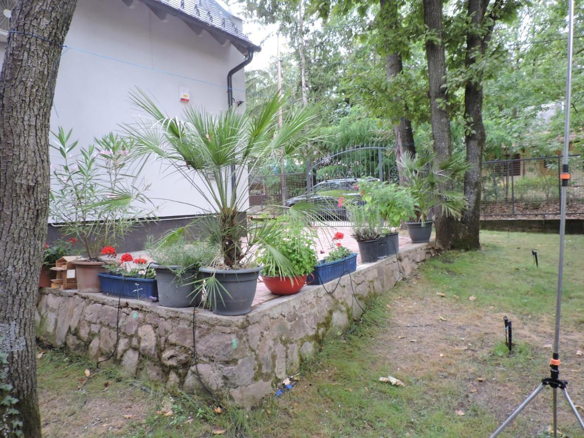 Szepezd Oak Villa Balatonszepezd Exterior photo